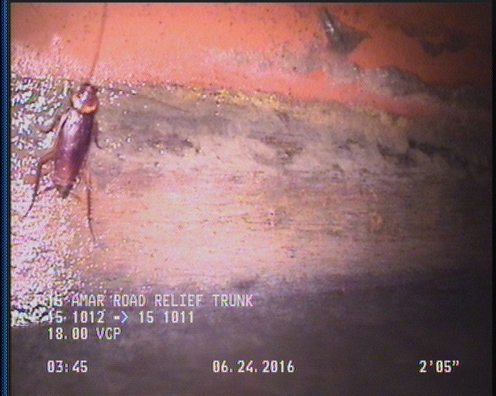 Deposits Attached Grease, 5 %of cross sectional area, from 04 to 08 o'clock, , within 8 inches of joint: YES, Start