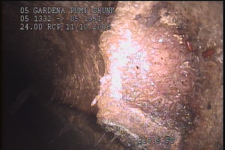 Deposits Attached Encrustation, 20 %of cross sectional area, from 12 to 04 o'clock, , within 8 inches of joint: YES