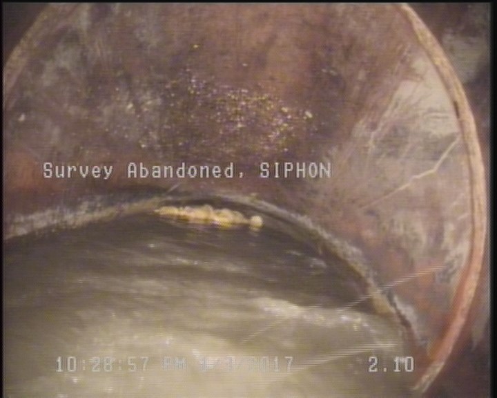 Survey Abandoned - SIPHON