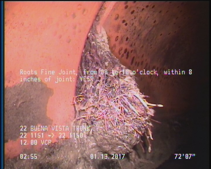 Roots Fine Joint, from 08 to 10 o'clock, within 8 inches of joint: YESR