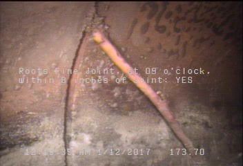 Roots Fine Joint, at 09 o'clock, within 8 inches of joint: YES