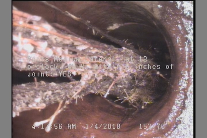 Roots Medium Lateral, at 12 o'clock, 45 %, within 8 inches of joint: YES