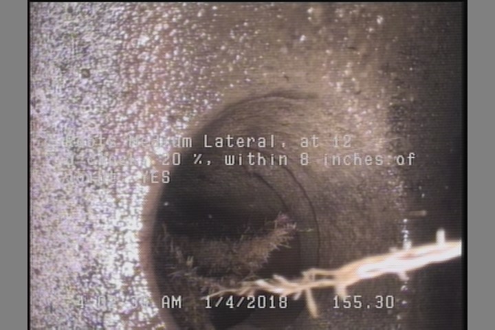 Roots Medium Lateral, at 12 o'clock, 20 %, within 8 inches of joint: YES