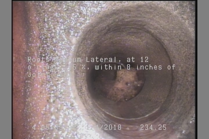 Roots Medium Lateral, at 12 o'clock, 15 %, within 8 inches of joint: YES