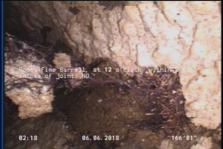 Roots Fine Barrell, at 12 o'clock, within 8 inches of joint: NO
