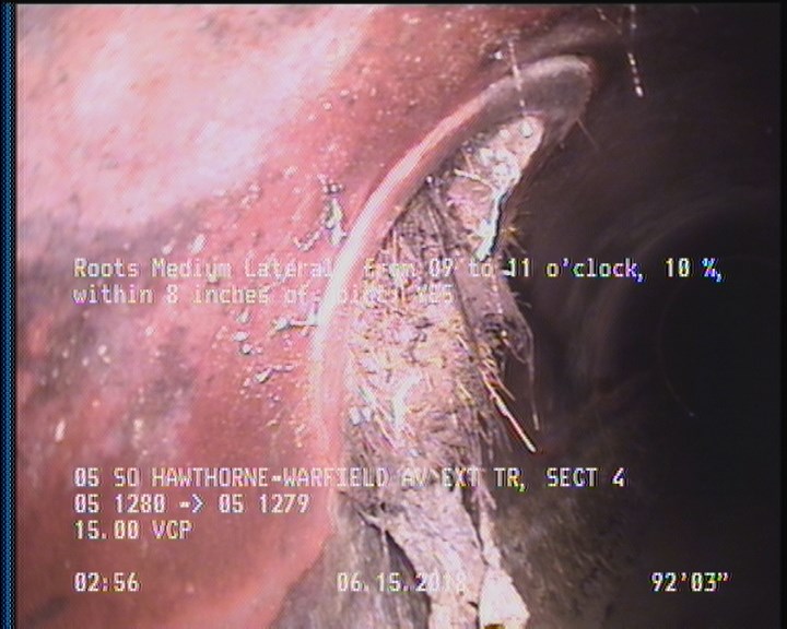 Roots Medium Lateral, from 09 to 11 o'clock, 10 %, within 8 inches of joint: YES