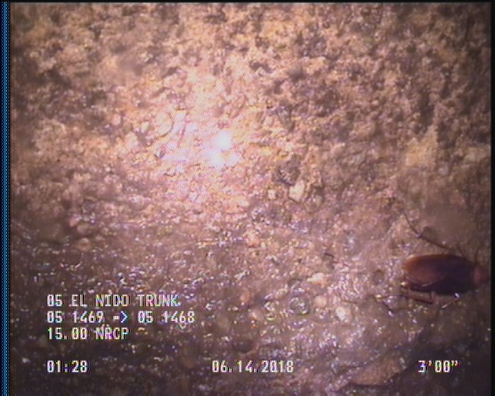 Surface Aggregate Projecting, from 08 to 04 o'clock, within 8 inches of joint: YES, Start