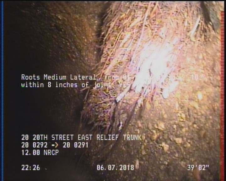 Roots Medium Lateral, from 01 to 04 o'clock, 10 %, within 8 inches of joint: YES