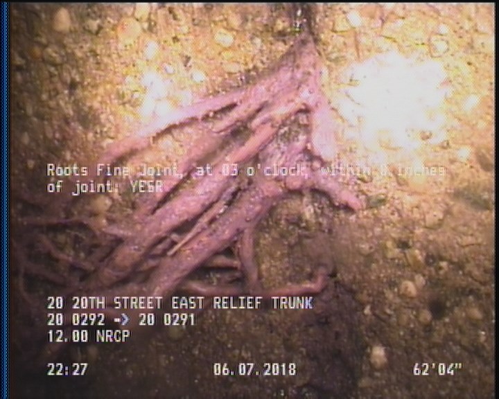 Roots Fine Joint, at 03 o'clock, within 8 inches of joint: YESR