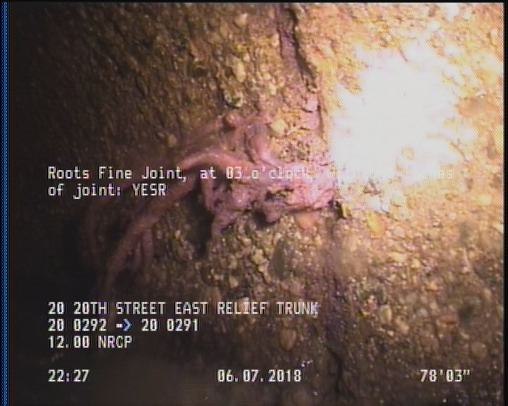 Roots Fine Joint, at 03 o'clock, within 8 inches of joint: YESR