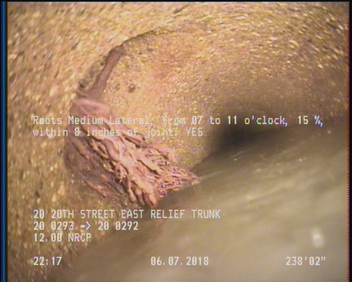 Roots Medium Lateral, from 07 to 11 o'clock, 15 %, within 8 inches of joint: YES
