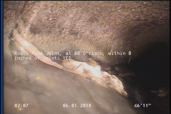 Roots Fine Joint, at 08 o'clock, within 8 inches of joint: YES