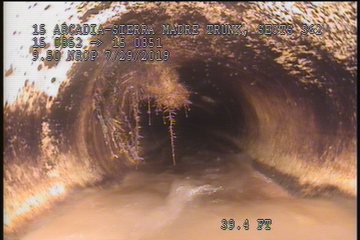 Roots Medium Lateral, from 09 to 12 o'clock, 15 %, within 8 inches of joint: YES