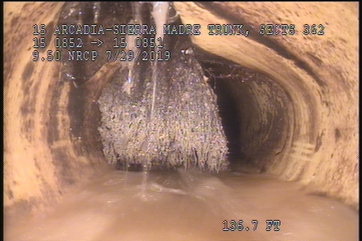Roots Medium Lateral, from 08 to 12 o'clock, 40 %, within 8 inches of joint: YES