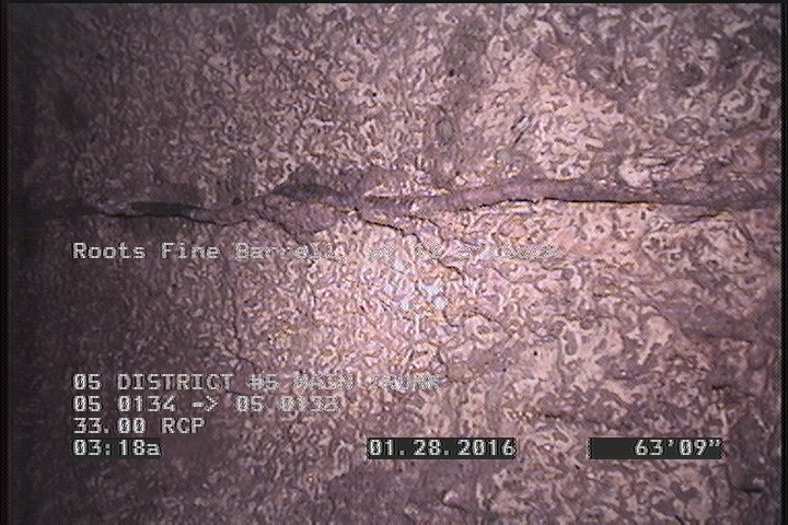 Roots Fine Barrell, at 12 o'clock