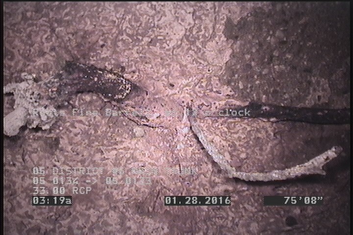 Roots Fine Barrell, at 12 o'clock