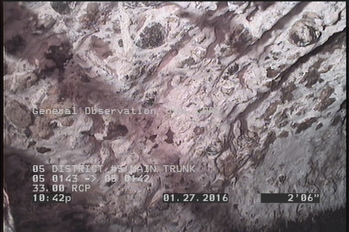 General Observation - MAG COAT