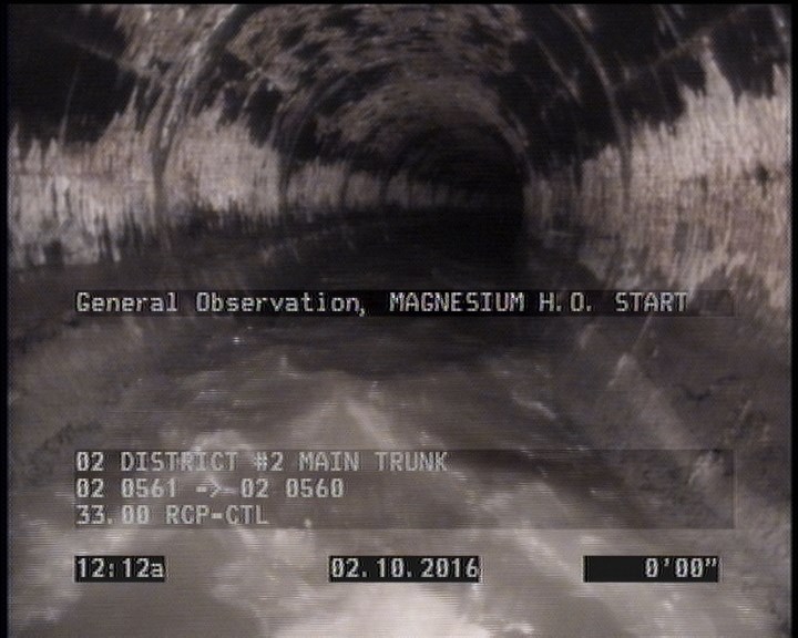 General Observation - MAGNESIUM H.O. START