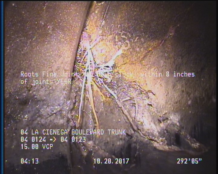 Roots Fine Joint, at 08 o'clock, within 8 inches of joint: YESR