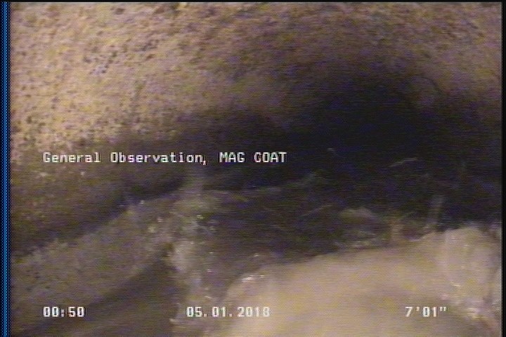 General Observation - MAG COAT