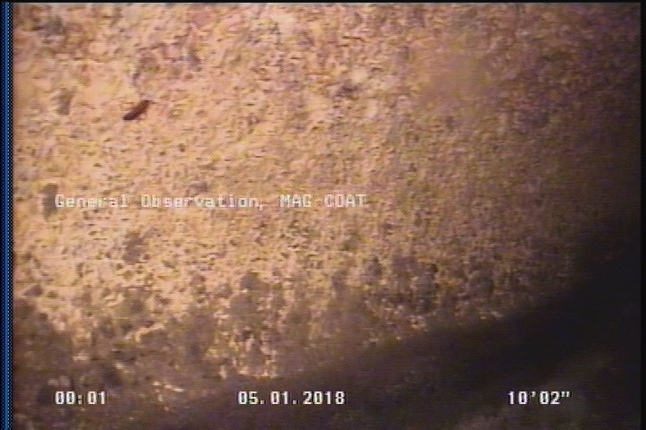 General Observation - MAG COAT