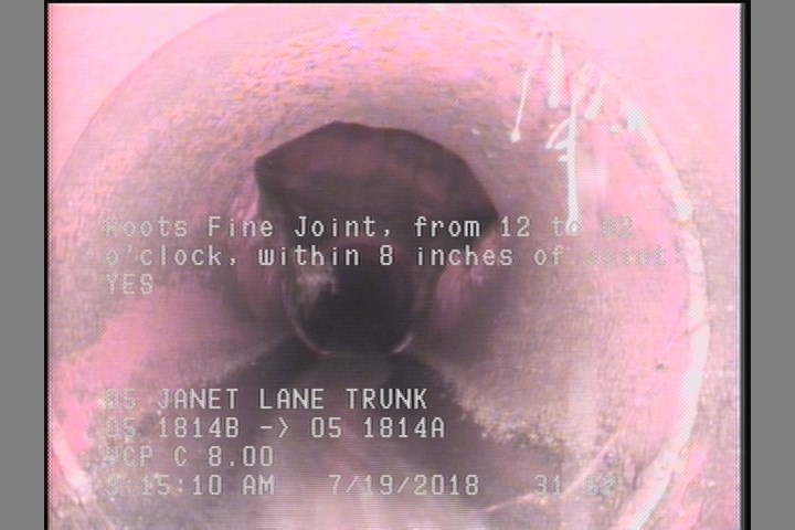 Roots Fine Joint, from 12 to 02 o'clock, within 8 inches of joint: YES
