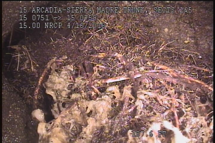 Tap Factory Made Defective, at 10 o'clock, -, within 8 inches of joint: YES, 6" - Open-90% ROOTS