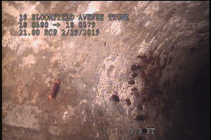 Surface Aggregate Visible, from 08 to 04 o'clock, within 8 inches of joint: YES, Start