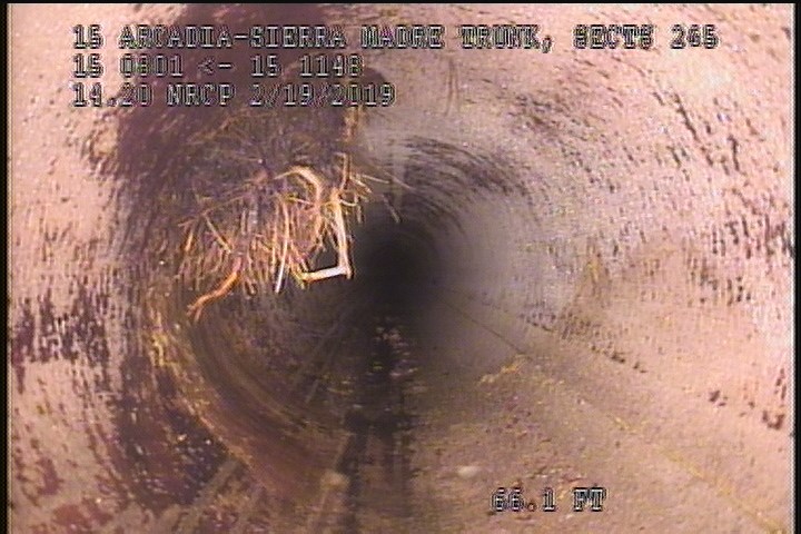 Roots Medium Lateral, from 09 to 11 o'clock, 15 %, within 8 inches of joint: NO