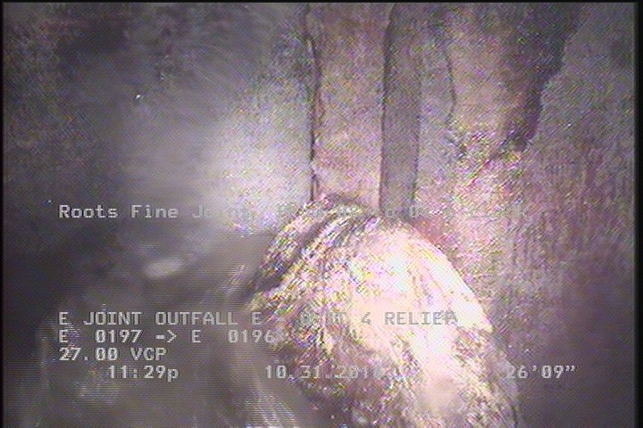 Roots Fine Joint, from 08 to 09 o'clock, within 8 inches of joint: YES