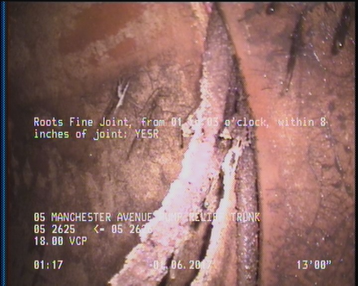 Roots Fine Joint, from 01 to 03 o'clock, within 8 inches of joint: YESR