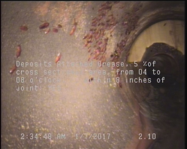 Deposits Attached Grease, 5 %of cross sectional area, from 04 to 08 o'clock, , within 8 inches of joint: YES