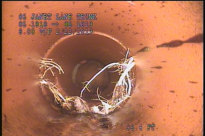 Roots Fine Joint, from 02 to 09 o'clock, within 8 inches of joint: YESR - 5%
