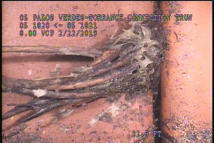 Roots Fine Joint, at 07 o'clock, within 8 inches of joint: YESR - 5%