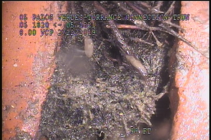 General Observation - LARGE OFFSET JOINT. 1'