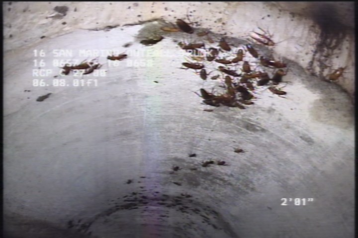 General Observation - POSSIBLE MAGNESIUM HYDROXIDE COAT, 9 TO 3 OCLOCK, 80%