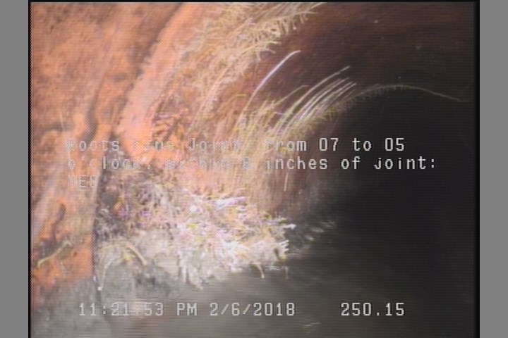 Roots Fine Joint, from 07 to 05 o'clock, within 8 inches of joint: YES