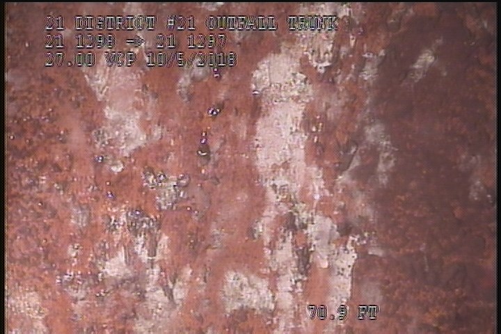 General Observation - WHITE COATING