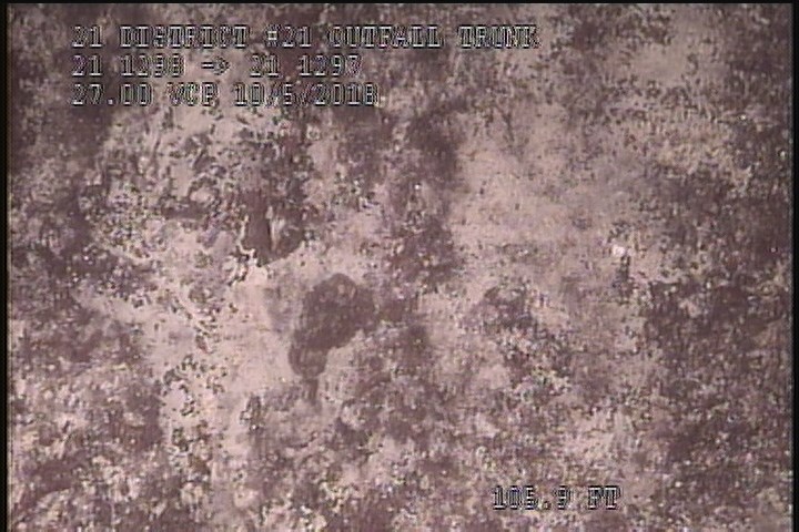 General Observation - WHITE COATING