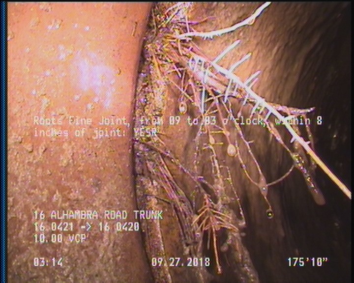 Roots Fine Joint, from 09 to 03 o'clock, within 8 inches of joint: YESR