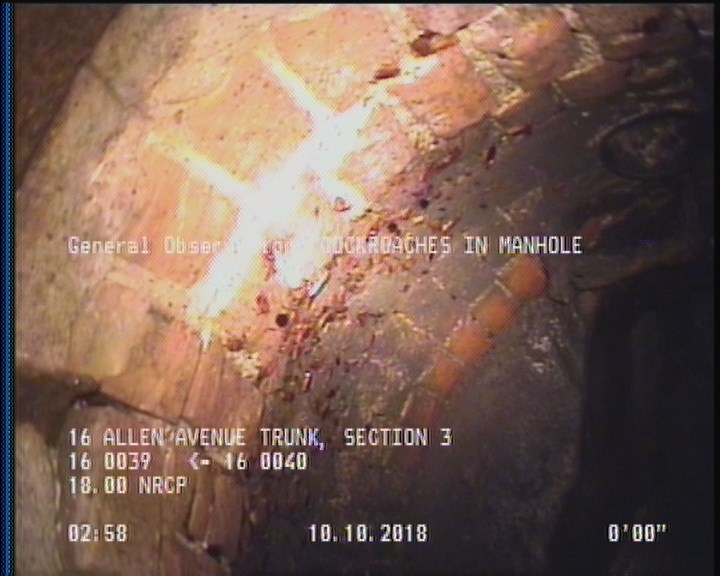 General Observation - COCKROACHES IN MANHOLE
