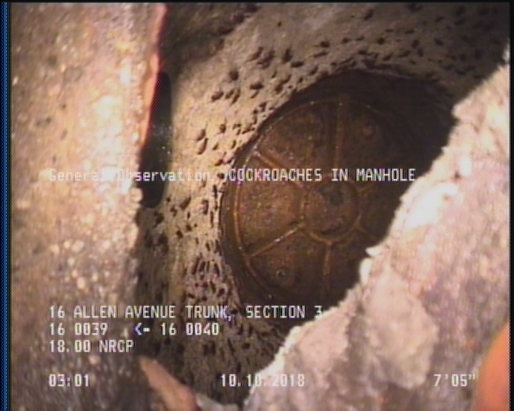 General Observation - COCKROACHES IN MANHOLE