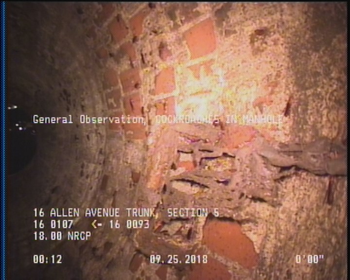 General Observation - COCKROACHES IN MANHOLE