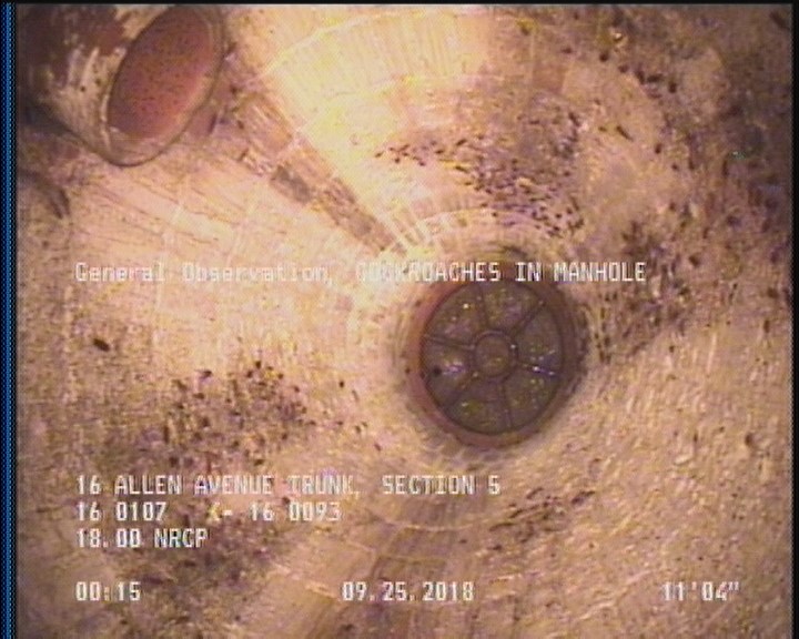 General Observation - COCKROACHES IN MANHOLE