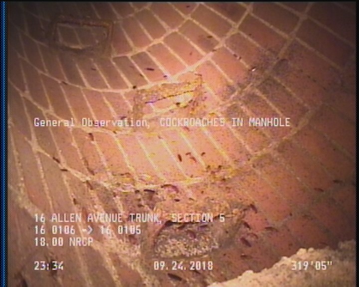 General Observation - COCKROACHES IN MANHOLE