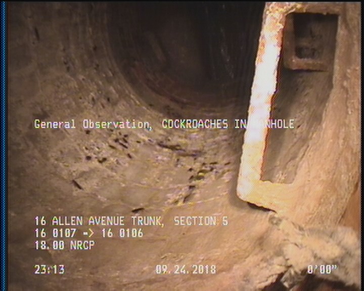 General Observation - COCKROACHES IN MANHOLE
