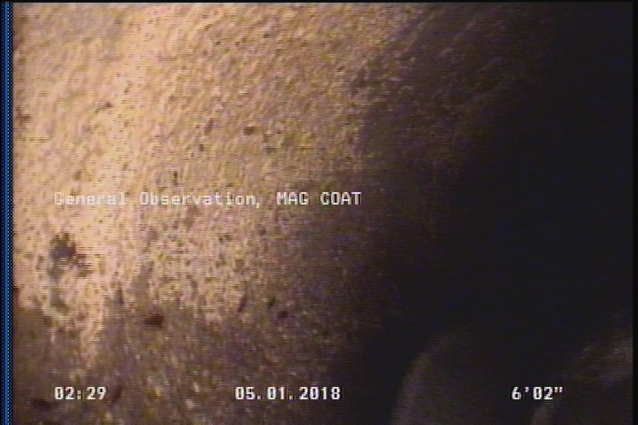 General Observation - MAG COAT