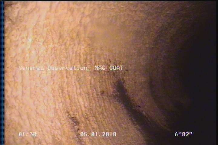 General Observation - MAG COAT