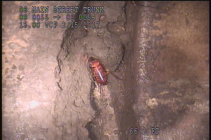 General Photograph - POSSIBLE SOIL VISIBLE
