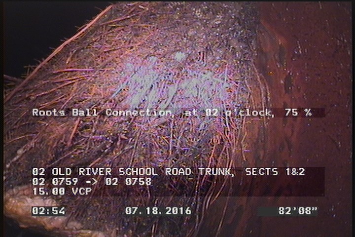 Roots Ball Connection, at 02 o'clock, 75 %